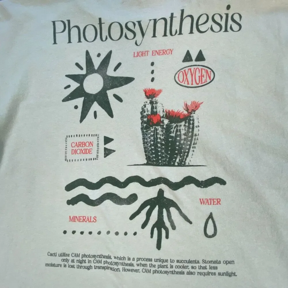 The Life Of Plants Mens Cactus Graphic T-Shirt Short Sleeve Sage Light Green L
